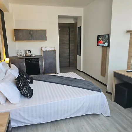 Theline Hotel 3*